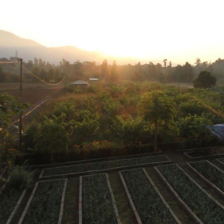 Forest Side Farm - Homestay At Kotabagh Near Nainital And Jim Corbett Extérieur photo