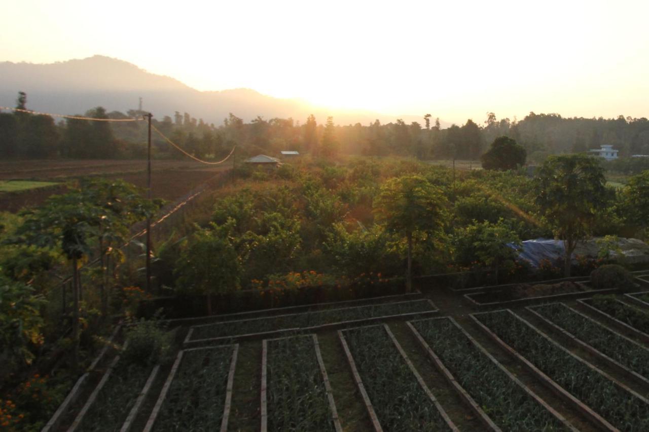 Forest Side Farm - Homestay At Kotabagh Near Nainital And Jim Corbett Extérieur photo