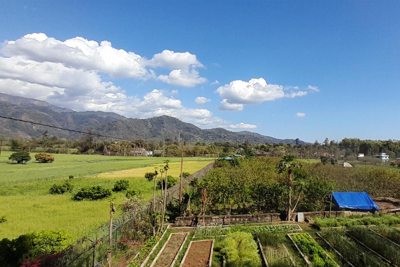 Forest Side Farm - Homestay At Kotabagh Near Nainital And Jim Corbett Extérieur photo